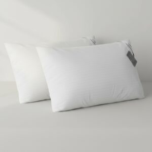 Alternative view of Travesseiro NASA Viscoelástico Memory Foam